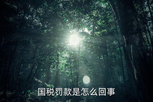 稅務(wù)局行為罰款是什么意思，國稅罰款是怎么回事