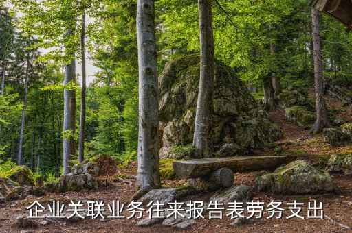 什么是關(guān)聯(lián)業(yè)務(wù)往來(lái)報(bào)告表，什么是關(guān)聯(lián)業(yè)務(wù)往來(lái)