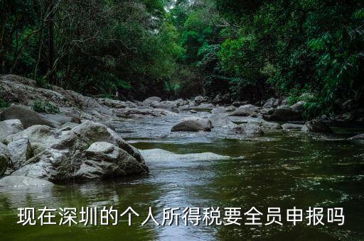 深圳為什么要個(gè)稅申報(bào)，外地企業(yè)如何在深圳為什么還要繳納個(gè)人所得稅1