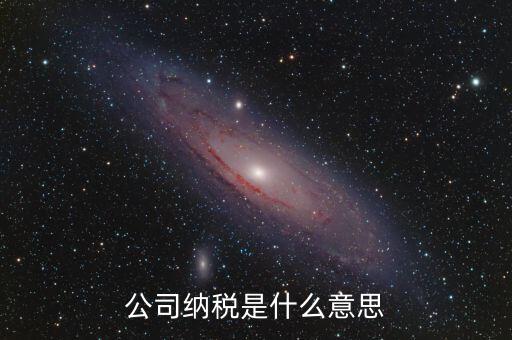 企業(yè)納稅是指什么，企業(yè)交稅是什么意思