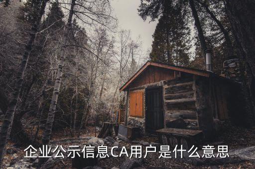 納稅人ca用戶是什么意思，什么是CA用戶啊