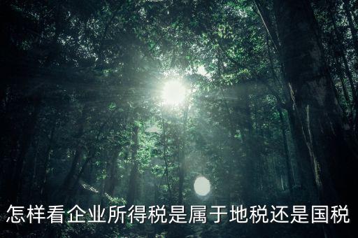 所得稅屬于什么稅，所得稅包括什么稅