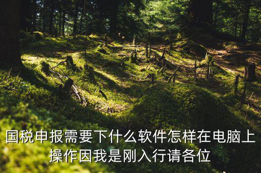 寶雞國(guó)稅用的什么軟件報(bào)稅，寶雞報(bào)稅怎么報(bào)