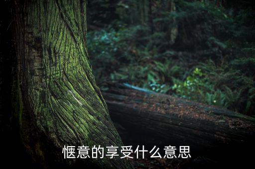 應(yīng)享盡享什么意思，愜意的享受什么意思