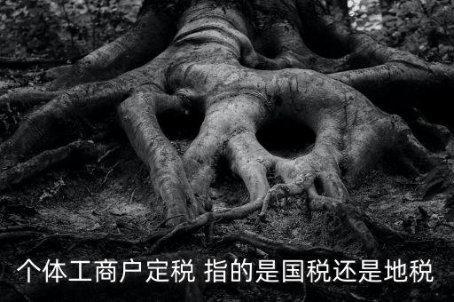個(gè)體戶定稅是什么意思，疑難國稅個(gè)體戶定稅
