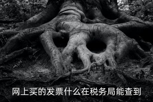 網(wǎng)上查發(fā)票能查到什么內(nèi)容，網(wǎng)上買的發(fā)票什么在稅務(wù)局能查到