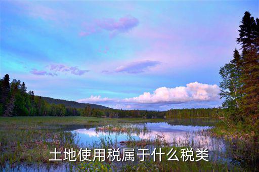 土地使用稅是放在什么類(lèi)別里的，土地使用稅屬于什么稅類(lèi)