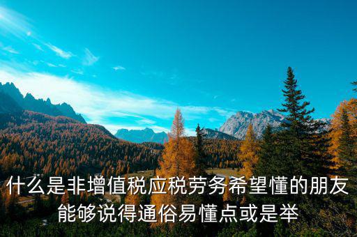 非增值稅應(yīng)稅勞務(wù)什么意思，什么是非增值稅應(yīng)稅勞務(wù)希望懂的朋友能夠說得通俗易懂點(diǎn)或是舉