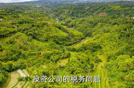 投資公司需要交什么稅，投資公司修建寺院需要上稅嗎上什么稅種