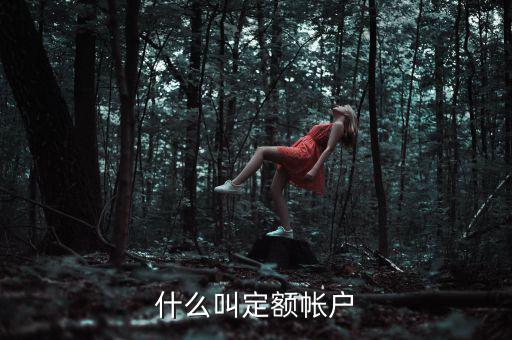 國(guó)稅的定期定額戶是什么意思，國(guó)稅買票需要定稅或建賬是什么意思