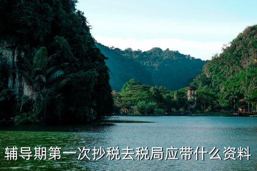 去稅務(wù)局抄稅需要帶什么，去稅務(wù)局抄稅帶哪些