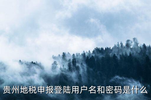 地稅登錄名密碼是什么意思，地稅申報的用戶名和密碼是什么
