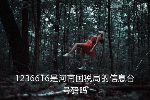 河南省國家稅務局賬號是什么，登錄國稅網(wǎng)上辦稅服務廳的用戶名和密碼是什么