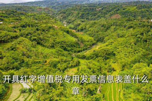 發(fā)票章什么樣子，開具紅字增值稅專用發(fā)票信息表蓋什么章