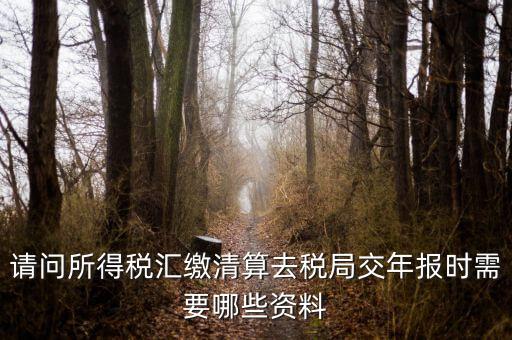 公司稅務(wù)年報(bào)需要什么，問(wèn)企業(yè)所得稅年報(bào)怎么報(bào)需要什么資料