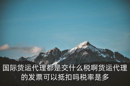 貨代公司交什么稅，國(guó)際貨運(yùn)代理都是交什么稅啊貨運(yùn)代理的發(fā)票可以抵扣嗎稅率是多