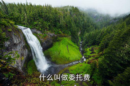 國(guó)家委托金額是什么，什么叫做委托費(fèi)