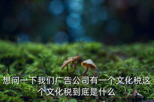 什么是稅務(wù)文化，和諧地稅文化的內(nèi)涵應(yīng)包括哪些方面