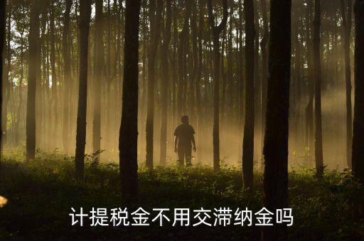 什么稅沒有滯納金，各種稅的滯納金一樣么