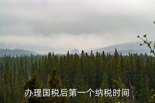 報稅后什么時候交稅，辦理國稅后第一個納稅時間