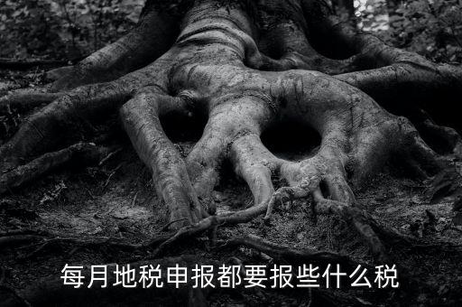 地稅申報報些什么稅神，每月地稅申報都要報些什么稅