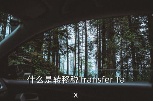 什么是跨地區(qū)稅收轉(zhuǎn)移企業(yè)，什么是轉(zhuǎn)移稅Transfer Tax