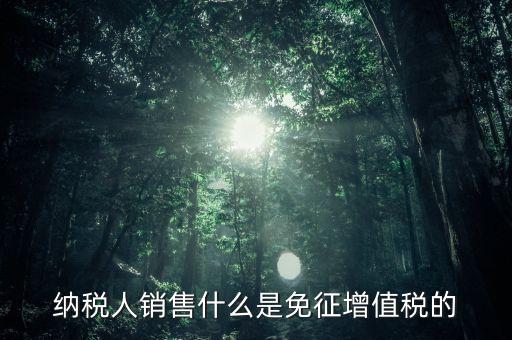 什么免征增值稅，哪些屬于免征增值稅