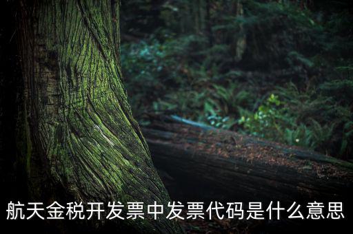 增值稅的航天編碼是什么，航天金稅 自動(dòng)開票 怎么獲取 發(fā)票代碼 發(fā)票號碼