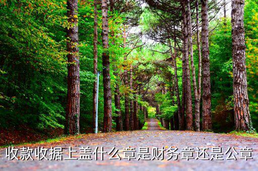 收據(jù)加蓋什么章，收據(jù)蓋什么章有規(guī)定嗎