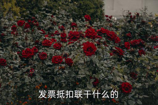發(fā)票抵扣聯干什么的
