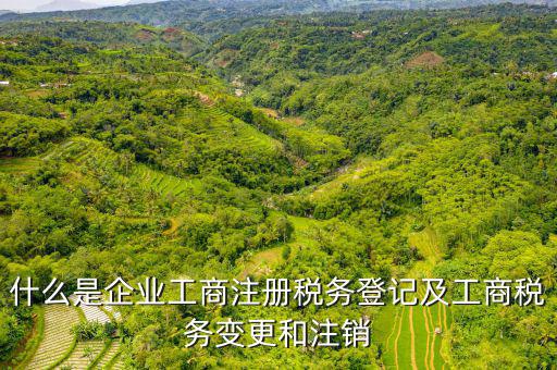 登記稅務(wù)是什么，什么是納稅人稅務(wù)登記名稱