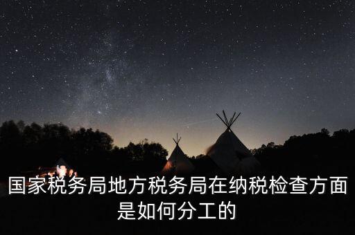 地方稅務(wù)局一案雙查是什么意思，國(guó)稅局一二稽查大隊(duì)是何意思