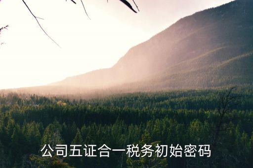 稅務(wù)原始密碼是什么，稅務(wù)管理碼密碼默認(rèn)是多少