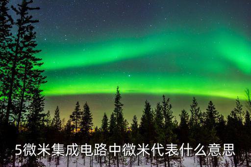 集成電路08微米是什么概念，CPU上說(shuō)的納米和微米是什么意思呢詳細(xì)