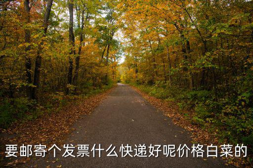 深圳國(guó)稅發(fā)票是寄什么快遞，寄發(fā)票用什么快遞