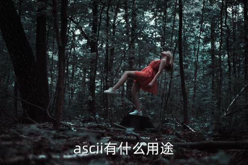 稅優(yōu)識(shí)別碼有什么用，ascii有什么用途