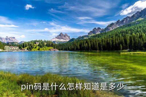 稅控盤(pán)pin碼是什么意思，pin碼是啥碼