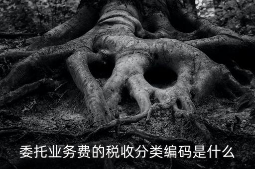 委托業(yè)務(wù)費(fèi)的稅收分類(lèi)編碼是什么