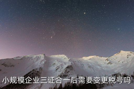什么情況需要變更稅號(hào)，小規(guī)模企業(yè)三證合一后需要變更稅號(hào)嗎