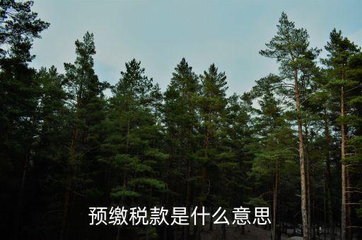 已預(yù)繳稅費(fèi)指什么，預(yù)繳稅款是什么意思