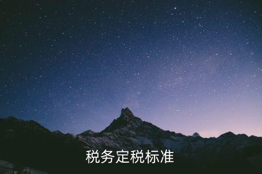 定稅是什么標準，稅務(wù)定稅標準