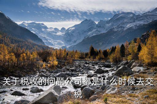 每個什么時候交稅，關于稅收的問題公司都是什么時候去交稅