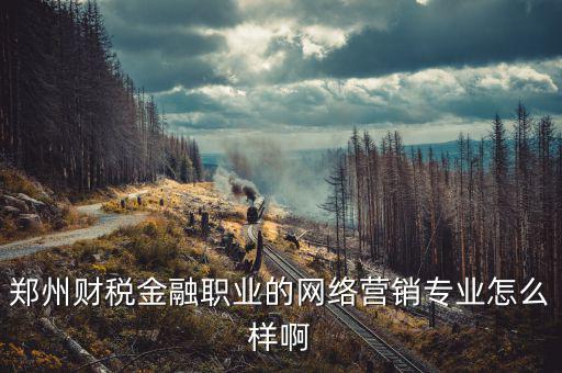 互聯(lián)網(wǎng)財(cái)稅銷售是什么，鄭州財(cái)稅金融職業(yè)的網(wǎng)絡(luò)營(yíng)銷專業(yè)怎么樣啊