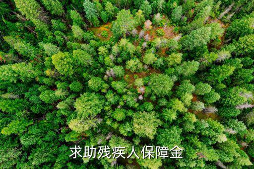 殘疾人保障金什么意思，求助殘疾人保障金