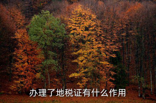 地稅局作用是什么，地稅局給我們帶來了哪些好處