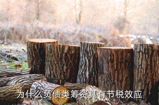 什么是節(jié)稅，為什么負(fù)債類(lèi)籌資具有節(jié)稅效應(yīng)