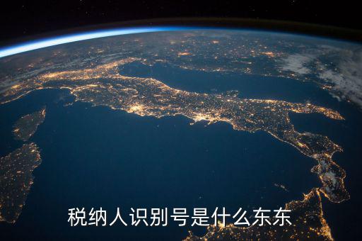 企業(yè)稅務(wù)識別號是什么意思，稅納人識別號是什么東東