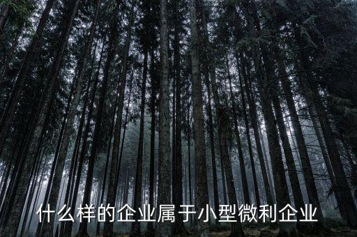 什么屬于小微企業(yè)，小微企業(yè)是什么