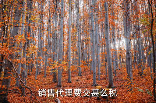 代理費繳納什么稅，銷售代理費交甚么稅