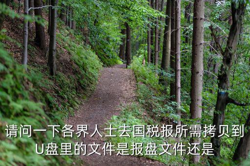 稅務(wù)報盤文件是什么，請問一下各界人士去國稅報所需拷貝到U盤里的文件是報盤文件還是